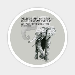 Baby Elephant Magnet
